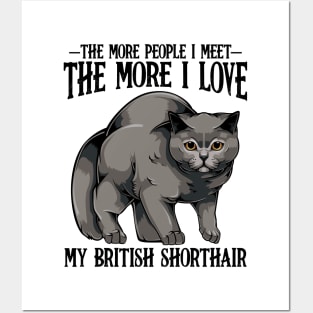 British Shorthair Cat Posters and Art